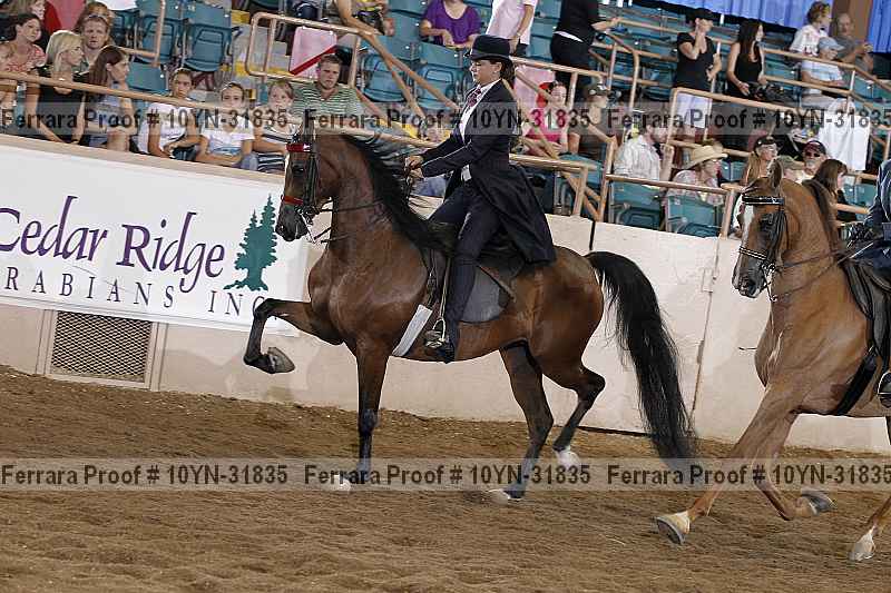 Proof 10yn-31835
