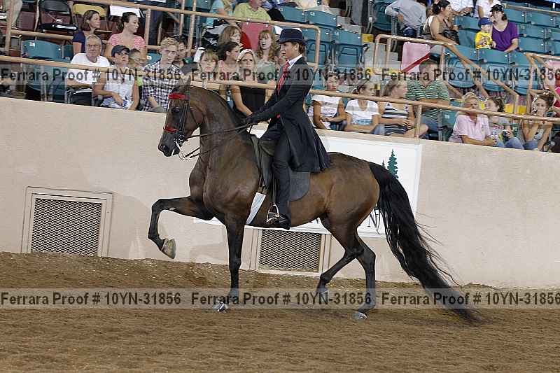Proof 10yn-31856