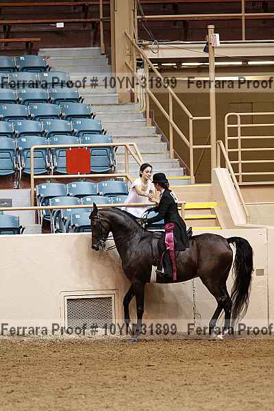 Proof 10yn-31899