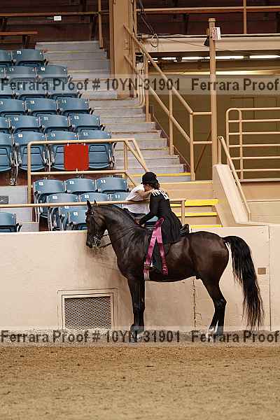 Proof 10yn-31901
