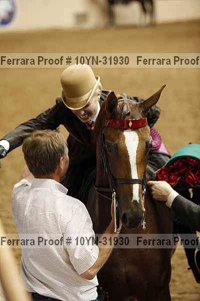 Proof 10yn-31930