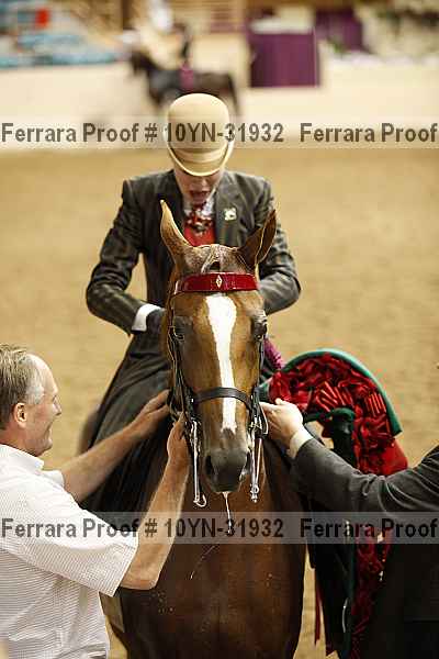 Proof 10yn-31932