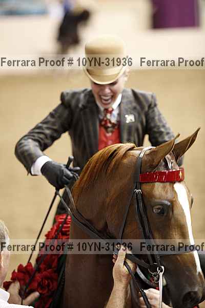 Proof 10yn-31936