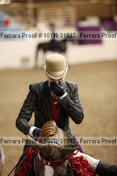 Proof 10yn-31937