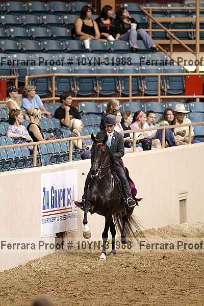 Proof 10yn-31988