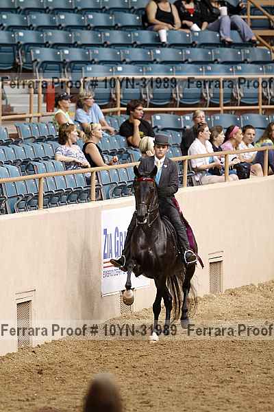 Proof 10yn-31989