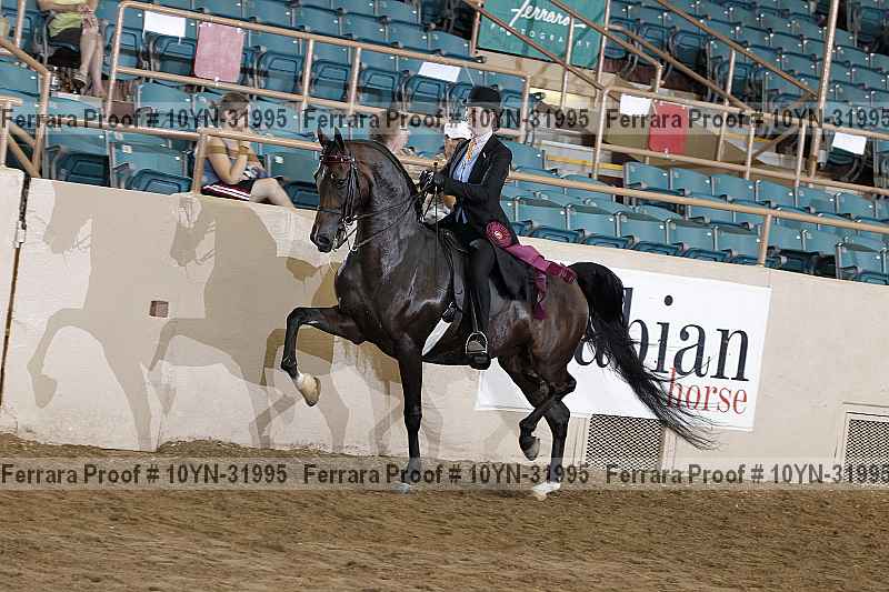 Proof 10yn-31995