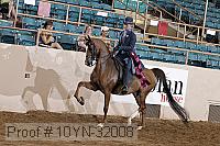 10yn-32008 proof