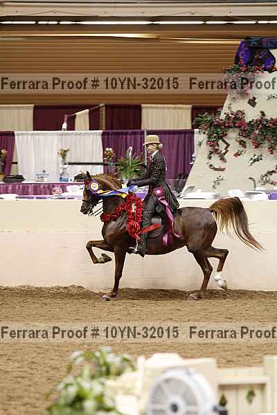 Proof 10yn-32015