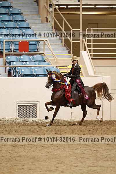 Proof 10yn-32016