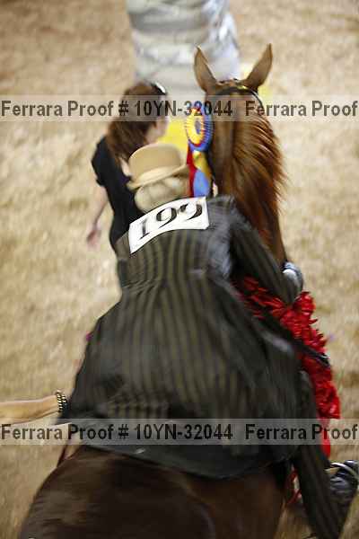 Proof 10yn-32044