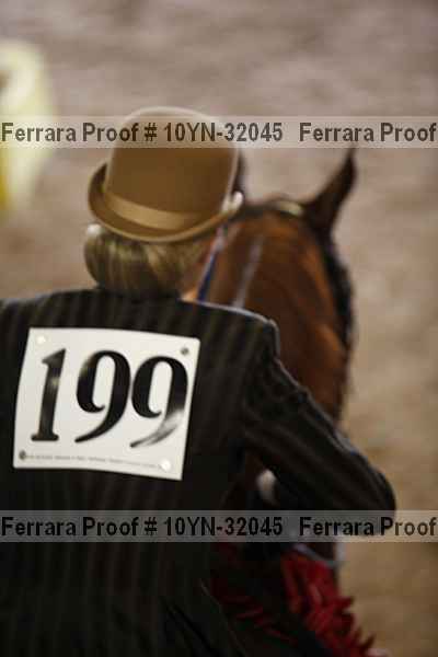 Proof 10yn-32045