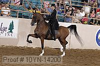 10yn-14200 proof