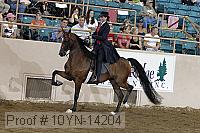 10yn-14204 proof