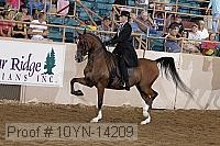 10yn-14209 proof