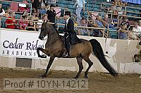 10yn-14212 proof
