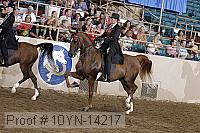 10yn-14217 proof