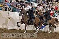 10yn-14221 proof
