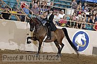 10yn-14222 proof
