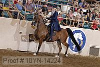 10yn-14224 proof