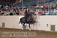 10yn-14232 proof
