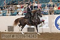 10yn-14243 proof