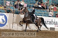 10yn-14264 proof