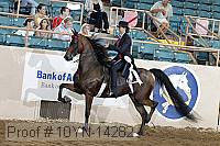 10yn-14282 proof