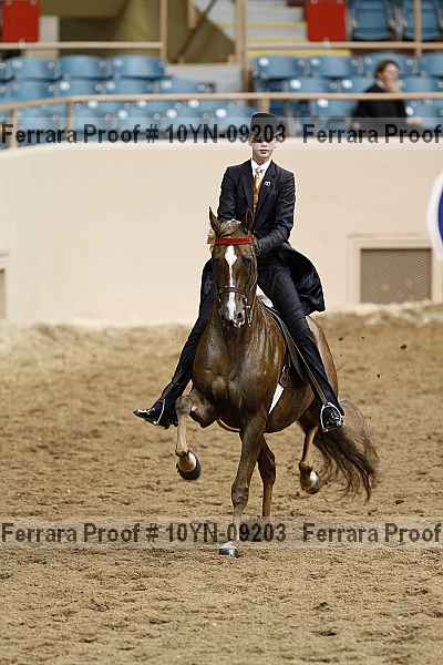 Proof 10yn-09203