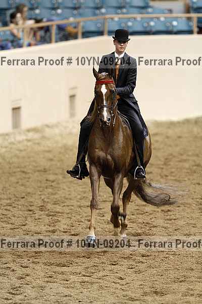 Proof 10yn-09204