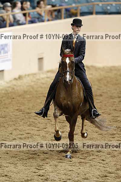 Proof 10yn-09205
