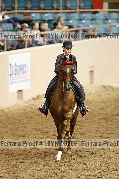 Proof 10yn-09209