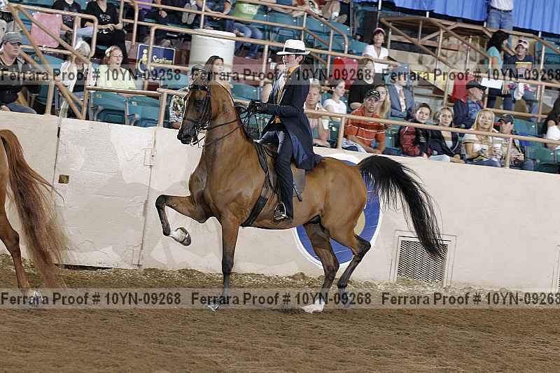 Proof 10yn-09268