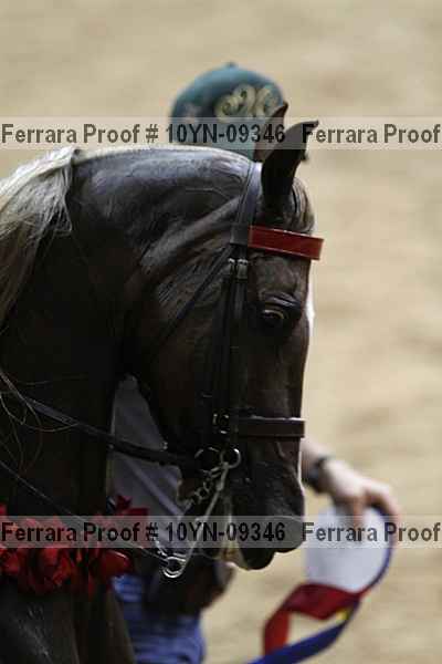 Proof 10yn-09346