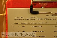 10yn-07632 proof