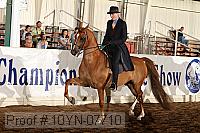10yn-07710 proof