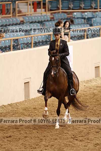 Proof 10yn-18475