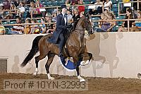 10yn-32993 proof