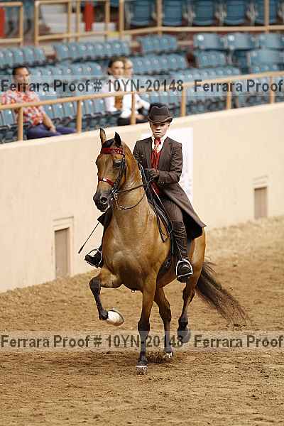 Proof 10yn-20148