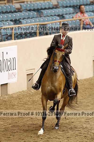 Proof 10yn-20149