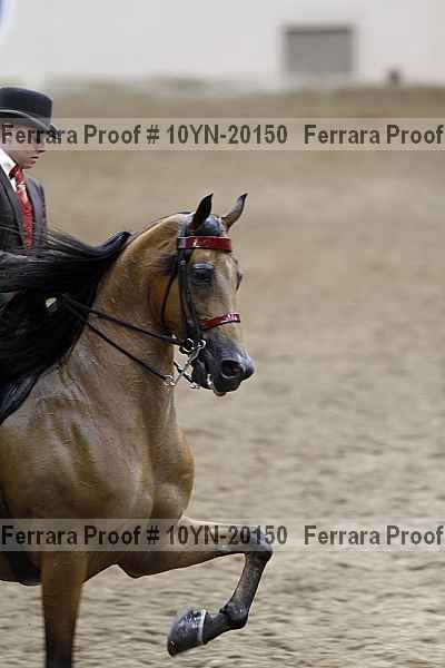 Proof 10yn-20150