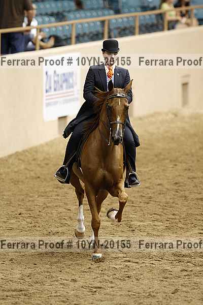 Proof 10yn-20155