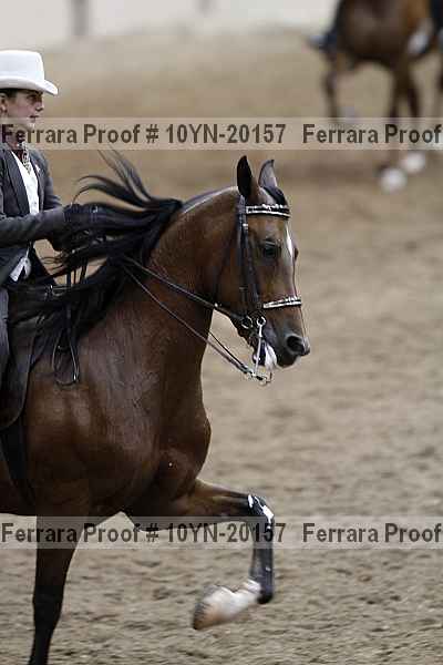 Proof 10yn-20157