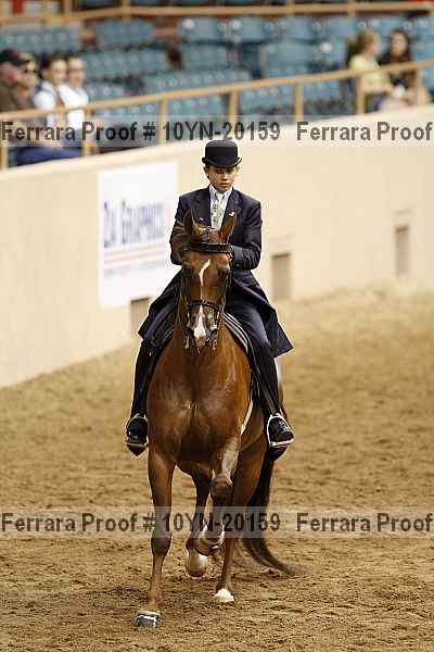 Proof 10yn-20159