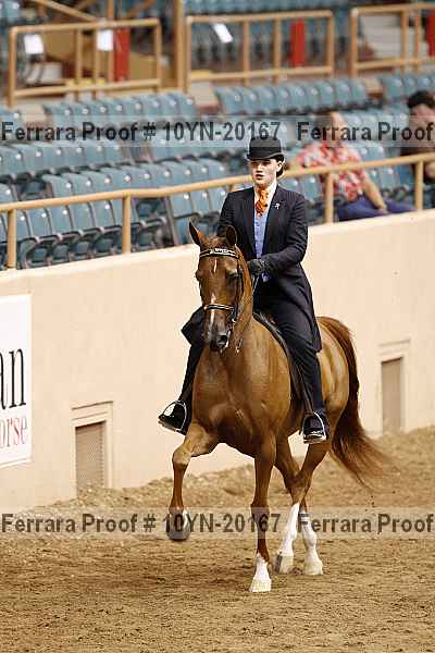 Proof 10yn-20167