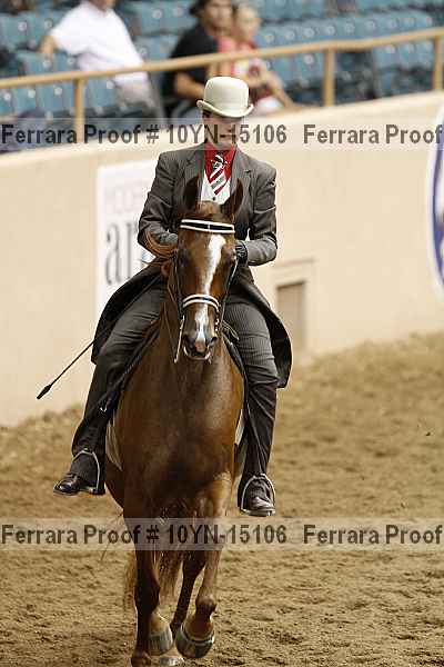 Proof 10yn-15106
