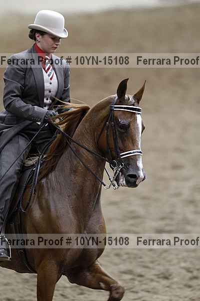 Proof 10yn-15108