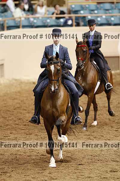 Proof 10yn-15141