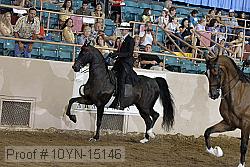 10yn-15146 proof