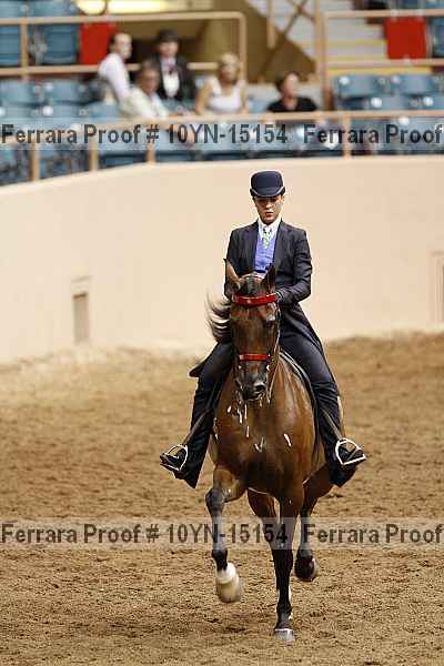 Proof 10yn-15154